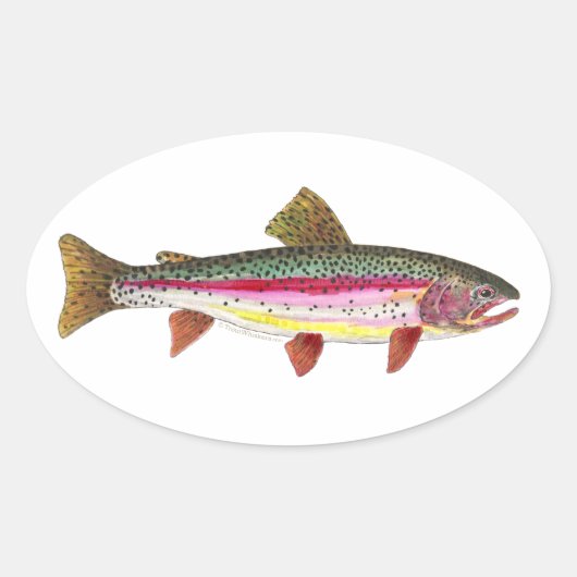 Regenboogforel vis ovale sticker (Voorkant)