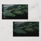 Regenboogforel Visitekaartje (Voorkant / Achterkant)