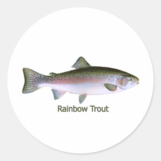 Regenboogforel Vist Logo Ronde Sticker (Voorkant)