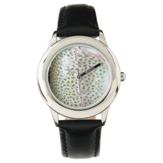 Regenboogforel, vlieg vishorloge horloge