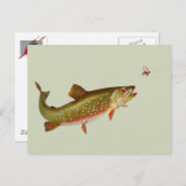  regenboogforel vliegen briefkaart (Voorkant / Achterkant)