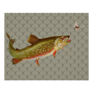  regenboogforel vliegen perfect poster