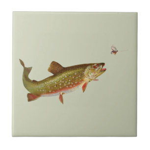  regenboogforel vliegen tegeltje