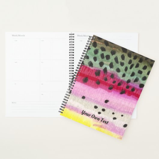 Regenboogforel vliegt met de hengel planner (Display)