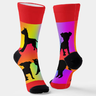 Regenbooghonden en -katten sokken