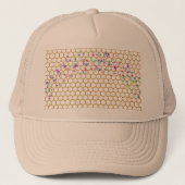 Regenbooghoningraat Trucker Pet (Voorkant)