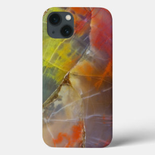 Regenboogkleurig gezuiverd hout iPhone 13 hoesje