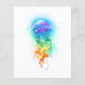 Regenboogkwal Flyer (Achterkant)