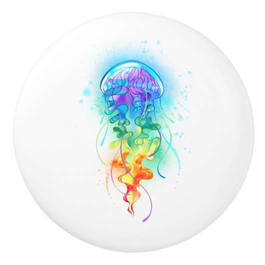 Regenboogkwal Keramische Knop (Voorkant)