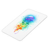 Regenboogkwal Magneet (Linkerzijde)
