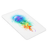 Regenboogkwal Magneet (Rechterzijde)
