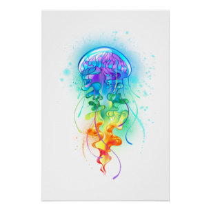 Regenboogkwal Perfect Poster