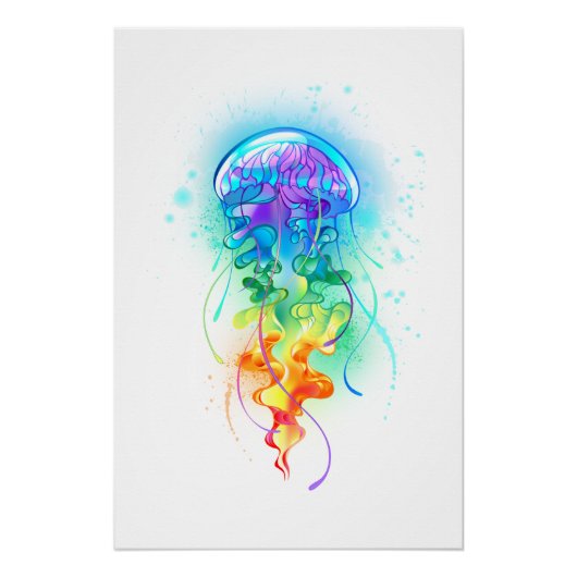 Regenboogkwal Perfect Poster (Voorkant)