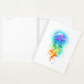 Regenboogkwal Planner (Display)