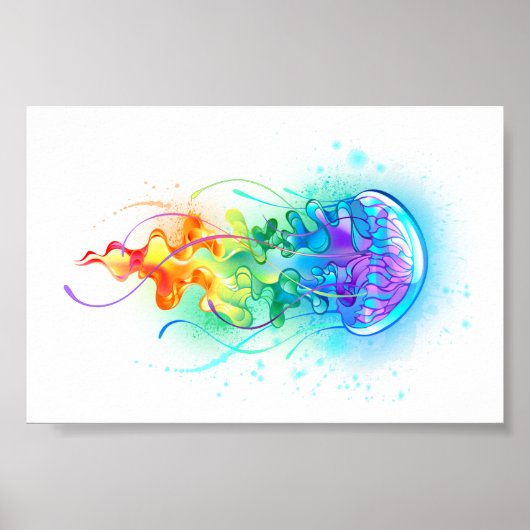 Regenboogkwal Poster (Voorkant)