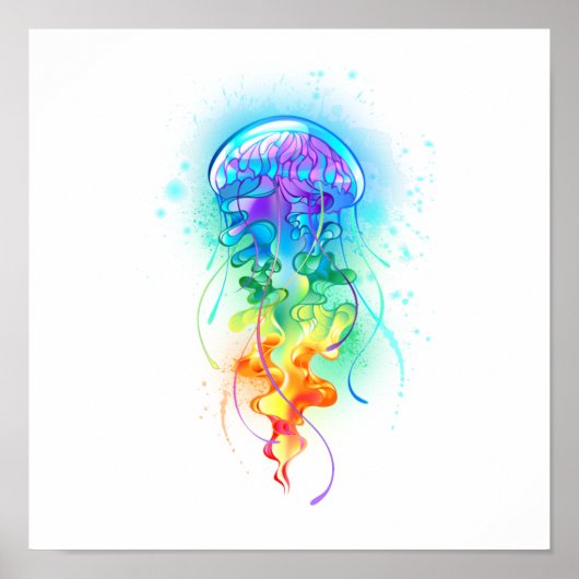 Regenboogkwal Poster (Voorkant)