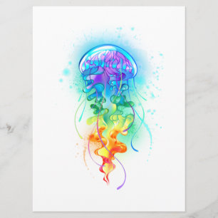 Regenboogkwal Programma