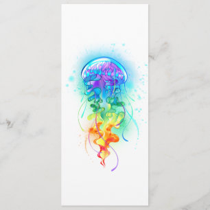 Regenboogkwal Programma