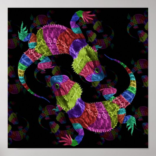 Regenboogliften Poster (Voorkant)