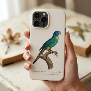 Regenbooglori juveniel Trichoglossus moluccanus iPhone 13 Pro Max Hoesje