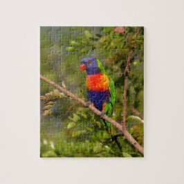 Regenbooglori Legpuzzel