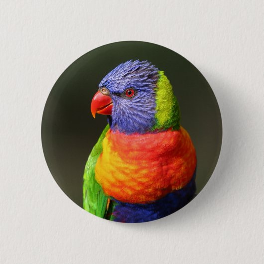 Regenbooglori Ronde Button 5,7 Cm (Voorkant)