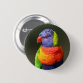 Regenbooglori Ronde Button 5,7 Cm (Voorkant /achterkant)