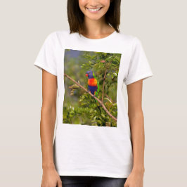 Regenbooglori T-shirt