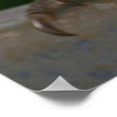 Regenboogloriket Poster (Hoek)