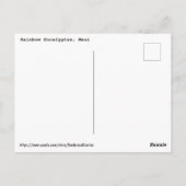 Regenboogpolie Briefkaart (Achterkant)