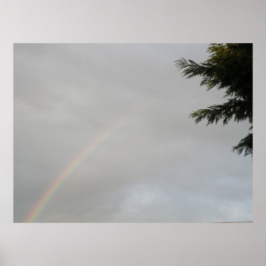 Regenboogprint Poster (Voorkant)