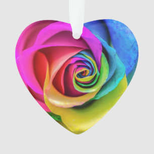 RegenboogRoos Ornament