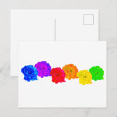 Regenboogrozen Briefkaart (Voorkant / Achterkant)
