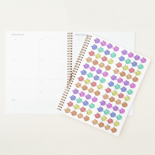 RegenboogRozen Planner (Display)
