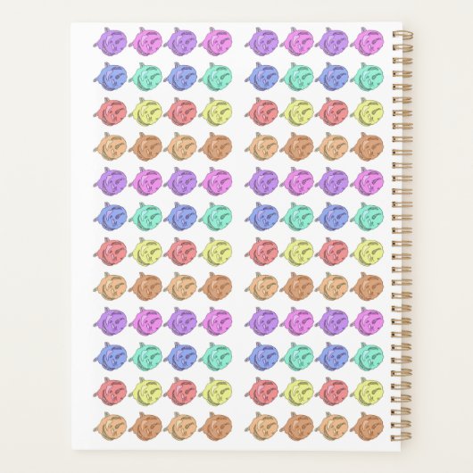 RegenboogRozen Planner (Achterkant)