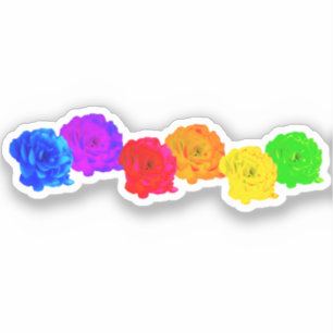 RegenboogRozen Sticker