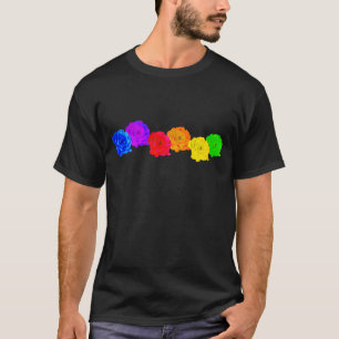 RegenboogRozen T-shirt