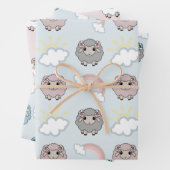 Regenboogschep Inpakpapier Vel (In situ)