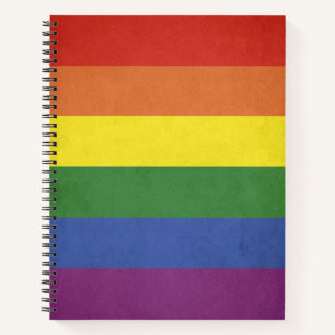Regenboogstrepen Notitieboek