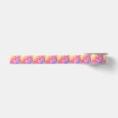 Regenboogstrips Lint (Voorkant)