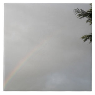 Regenboogtegel Tegeltje