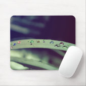Regenboogvallen Mousepad Muismat (Met muis)