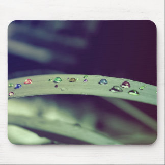 Regenboogvallen Mousepad Muismat
