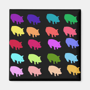 Regenboogvarkens Magneet