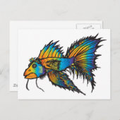 Regenboogvissen Briefkaart (Voorkant / Achterkant)