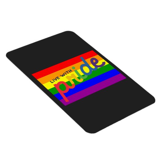 regenboogvlag magneet (Rechterzijde)