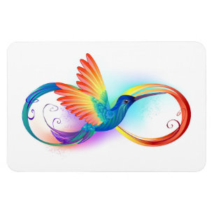 Regenboogvogel met oneindige symbolen magneet