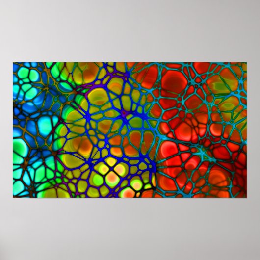 regenboogweb poster (Voorkant)