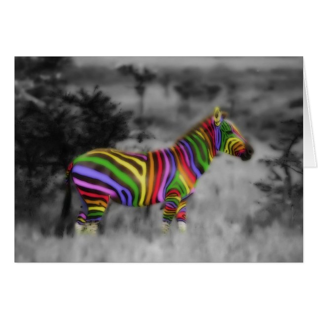 RegenboogZebra (Voorkant Horizontaal)