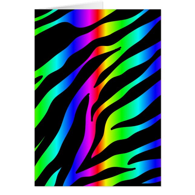regenboogzebra (Voorkant)